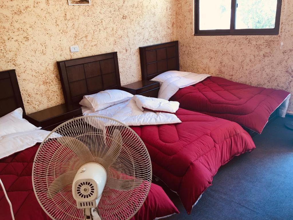 Guest House Attallah Wadi Musa Exteriör bild